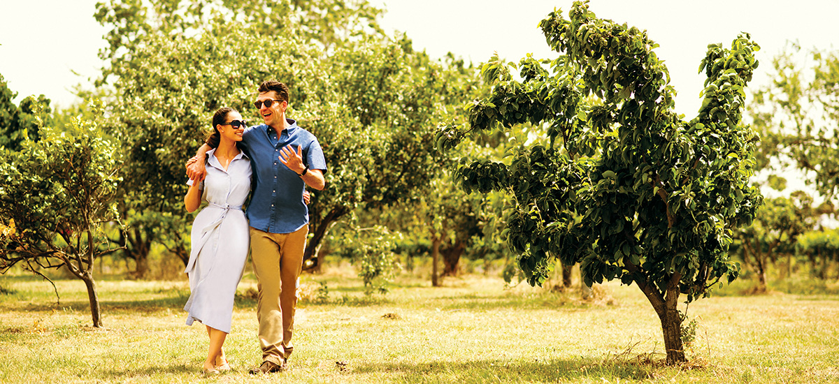 Donnybrae - Donnybrook, Victoria - Investment Property