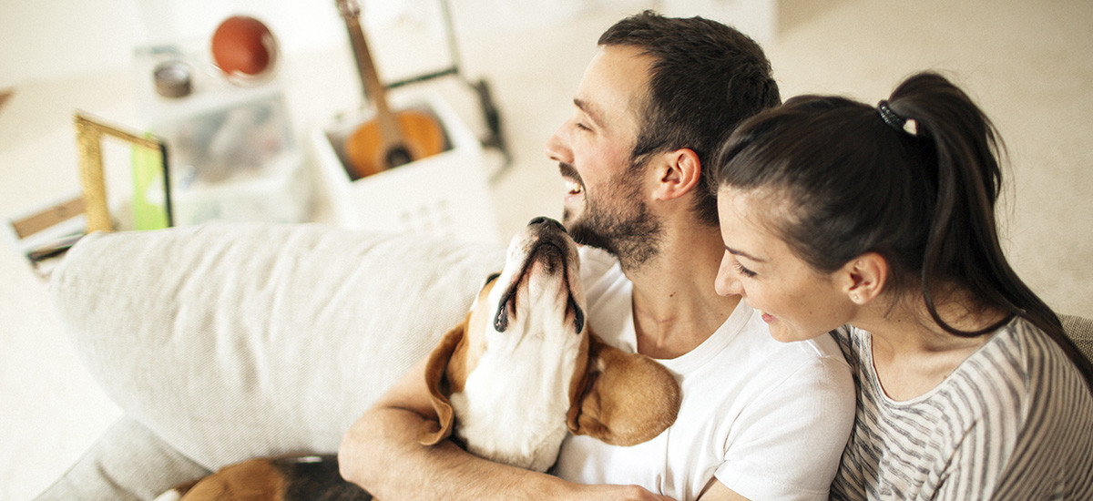 Mambourin - Wyndham Vale, Victoria - Investment Property