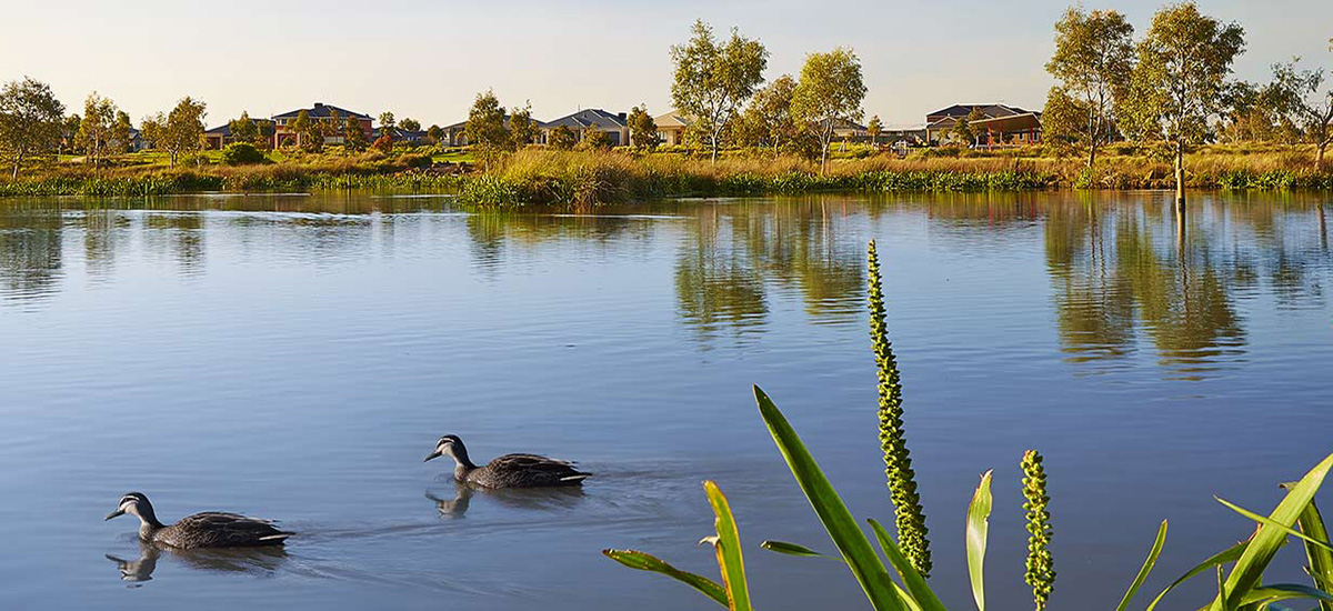 Manor Lakes - Manor Lakes, Victoria - Investment Property